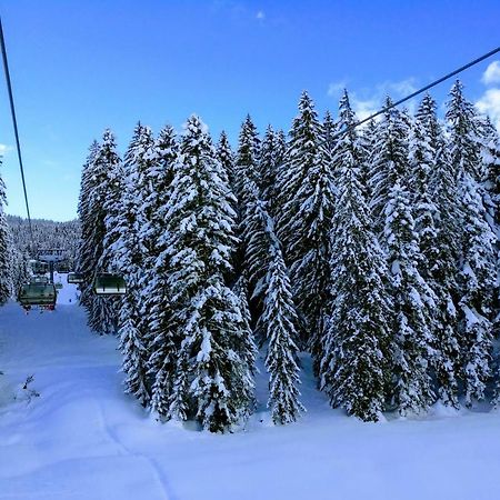 Pension Edelweiss Top 25 Gosau Exterior foto