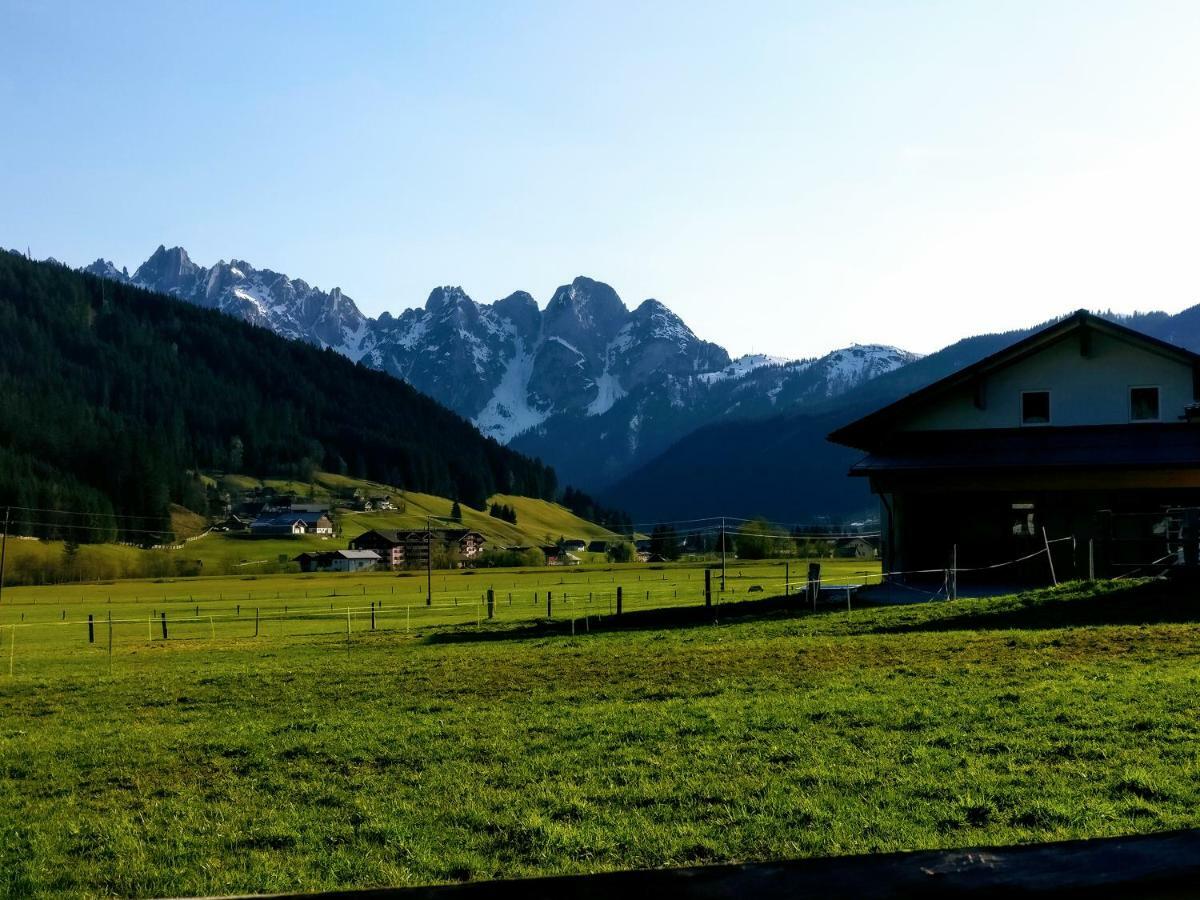 Pension Edelweiss Top 25 Gosau Exterior foto