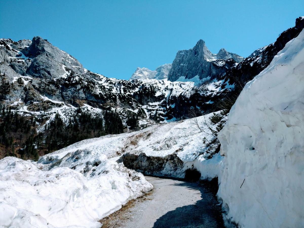 Pension Edelweiss Top 25 Gosau Exterior foto