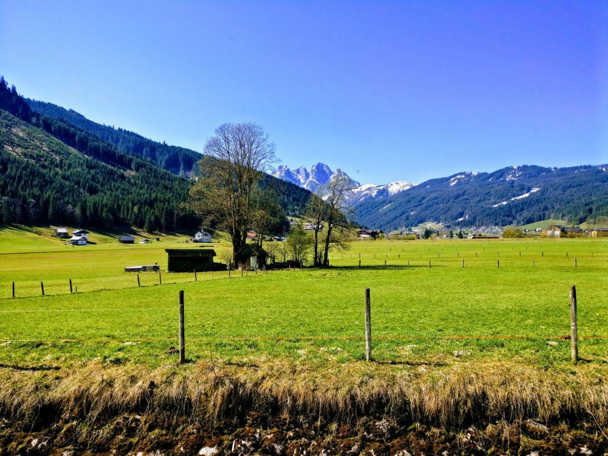 Pension Edelweiss Top 25 Gosau Exterior foto