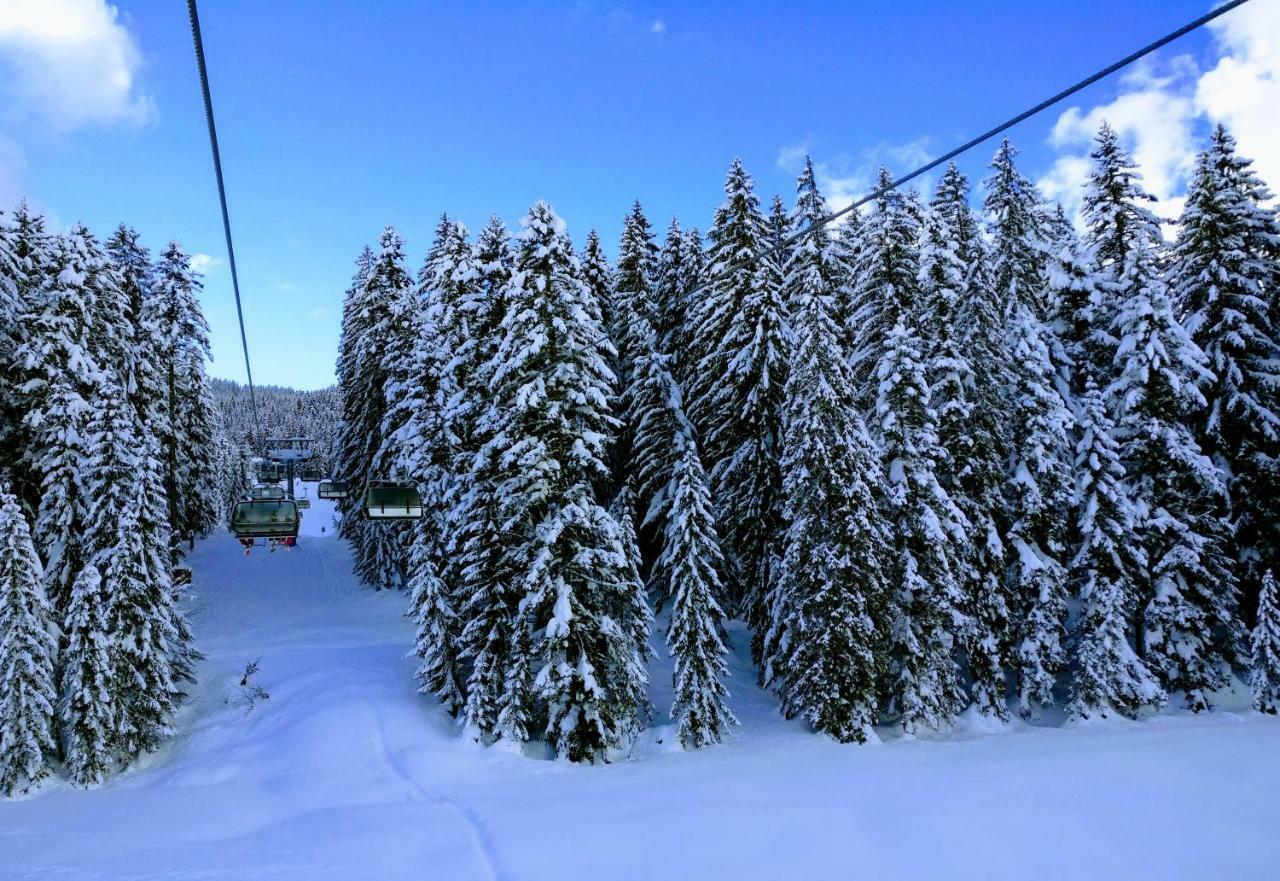 Pension Edelweiss Top 25 Gosau Exterior foto